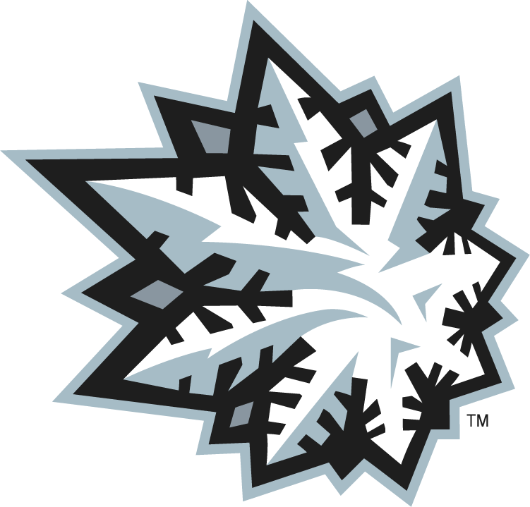 Green Bay Blizzard 2010-2014 Alternate Logo t shirt iron on transfers